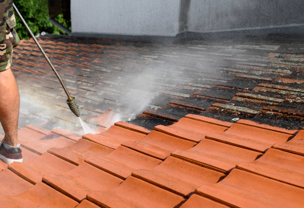 Deck Cleaning Services in Pembroke Pines, FL